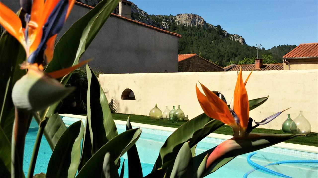 Bed and Breakfast L'Ile Aux Mimosas Tautavel Exterior foto