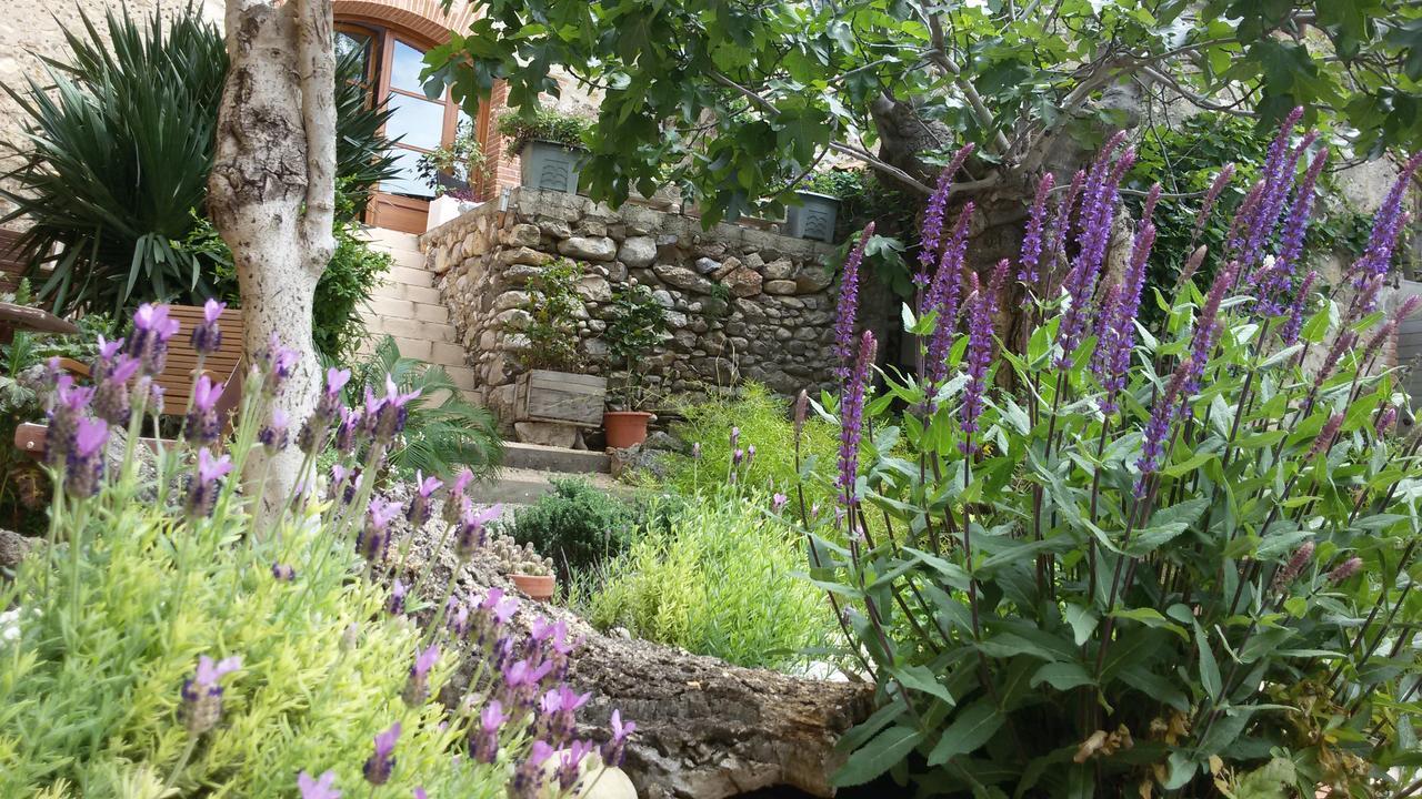 Bed and Breakfast L'Ile Aux Mimosas Tautavel Zimmer foto