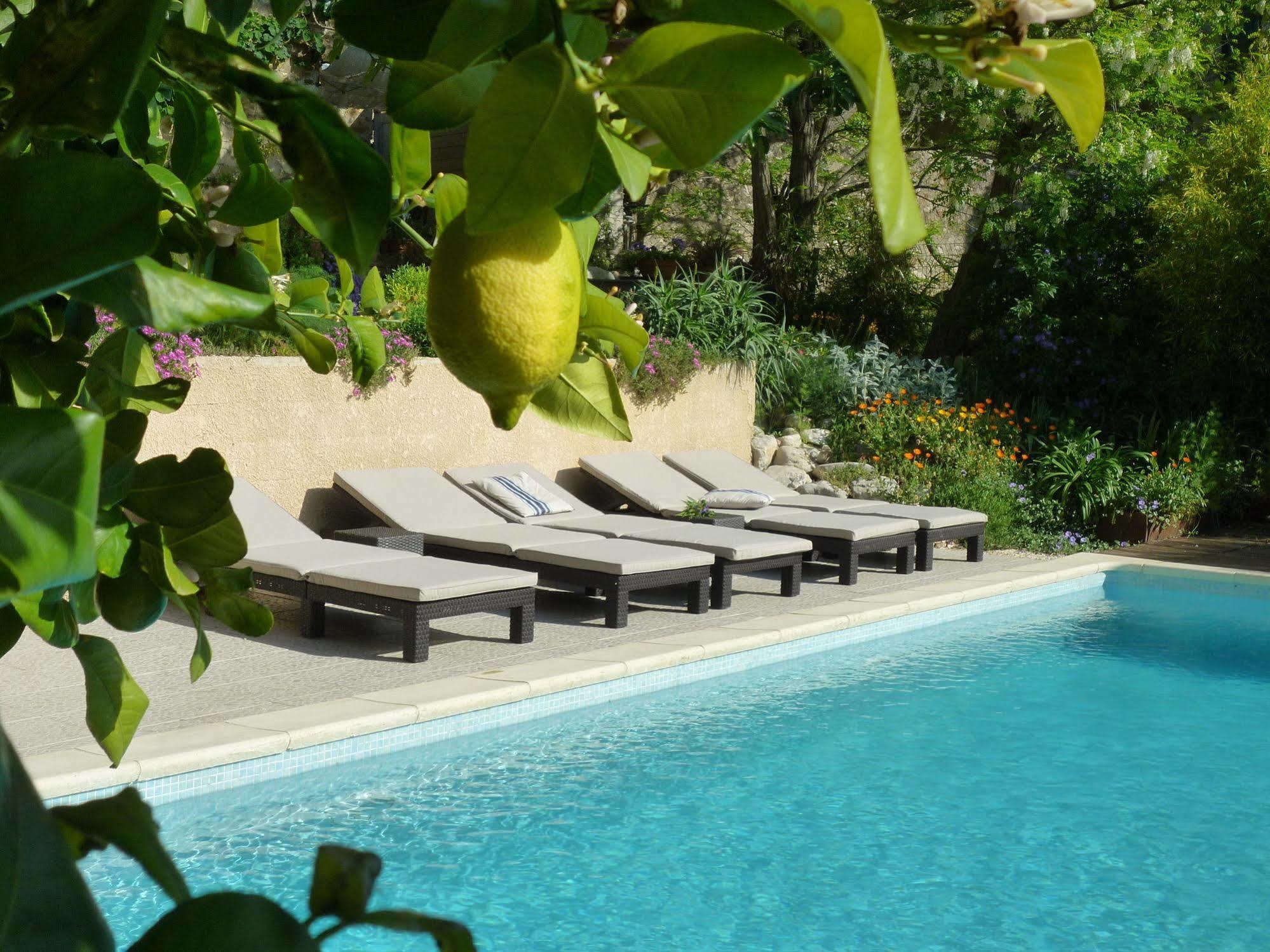 Bed and Breakfast L'Ile Aux Mimosas Tautavel Exterior foto